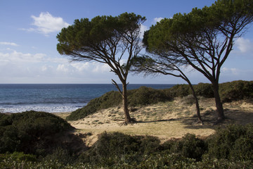 Fototapeta na wymiar CAGLIARI: Spiaggia a sud della Sardegna - Mare pintau