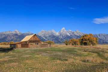 Autumn day at Mormon Row flat