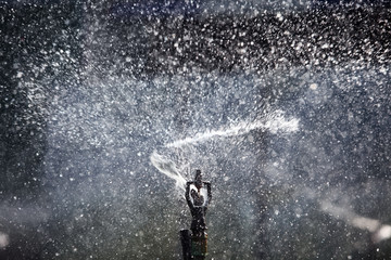 water sprinkler.