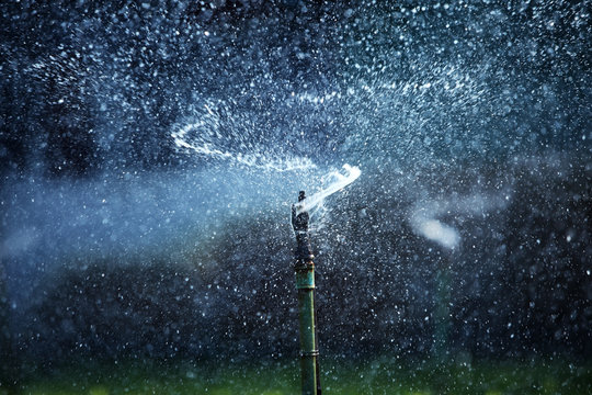 water sprinkler.
