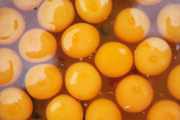egg yolk background