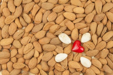 Spilled almonds. We like almonds. Healthy food.
