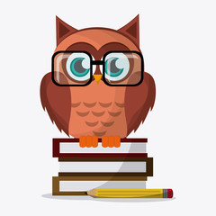 Owl icon design, vector illustration