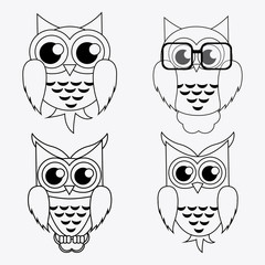 Owl icon design, vector illustration