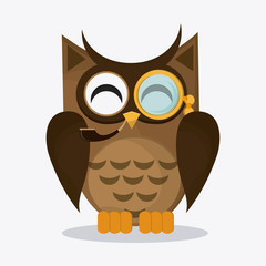 Owl icon design, vector illustration