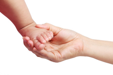 hand touching baby toe isolated on white background.
