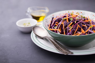 Red cabbage, carrot, onion and radishes sprouts salad