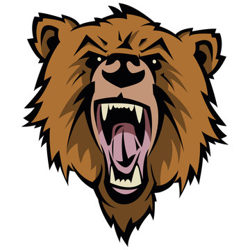 Bear Mascot