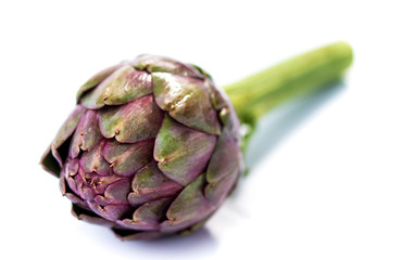 Fototapeta premium Fresh Artichoke on a white background