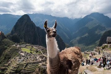 Machu Picchu © irenegreco