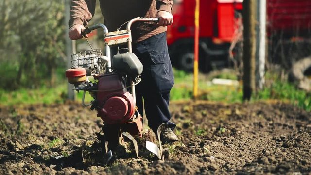 New seeding season on organic home vegetable farm in spring, farmer preparing garden soil with cultivator tiller.