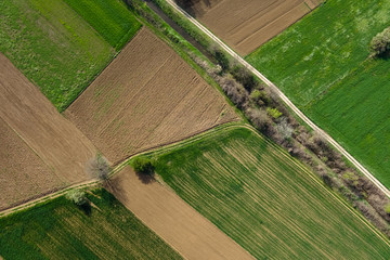 Farmland green fields and arable land. Agriculture fields and road from above © control011