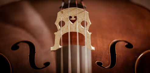 Cello strings closeup © FreeProd