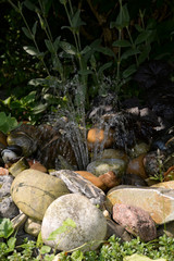 Brunnen in einem Garten