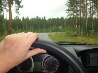 The wheel of a car and the road ahead