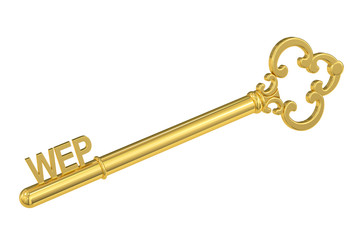 wep concept with golden key, 3D rendering