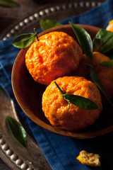 Raw Organic Gold Nugget Mandarin Oranges © Brent Hofacker