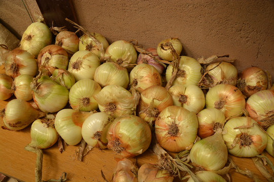 productos de la huerta