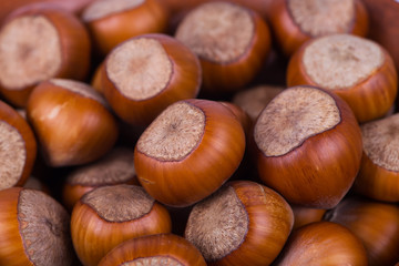 hazelnuts photo illustration