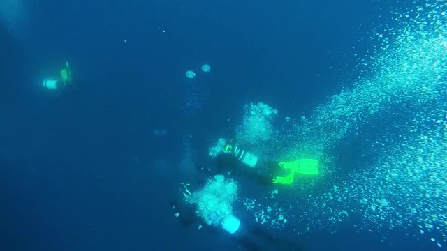 Group of Scuba Divers on a Deep Dive