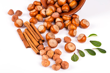 hazelnuts photo illustration