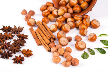 hazelnuts photo illustration