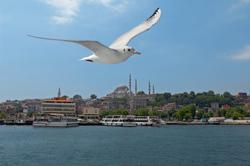 Historical Eminonu in Istanbul, Turkey.