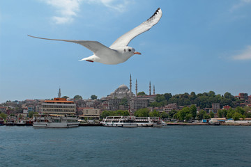 Fototapeta na wymiar Historical Eminonu in Istanbul, Turkey.