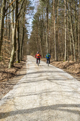 Obraz premium Wald Schotterweg