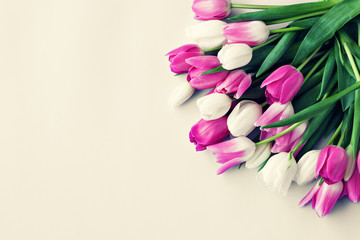 Pink and white tulips over beige background