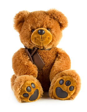 Toy teddy bear