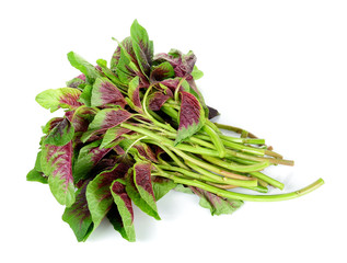 spinach isolated on white background