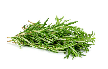 rosemary isolated on the white background