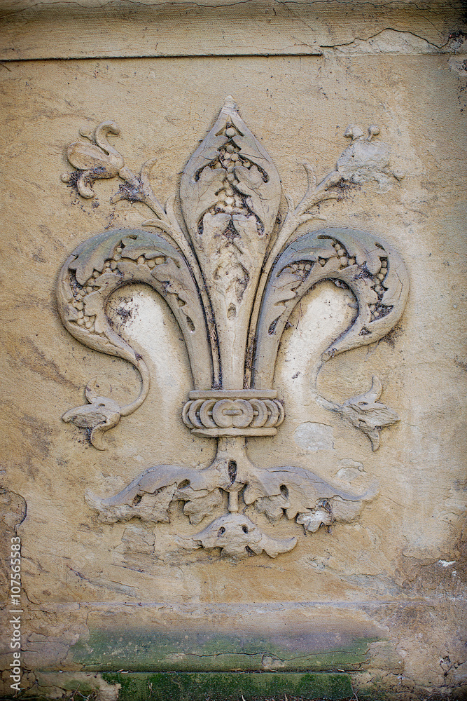 Canvas Prints Fleur de lis Santa Maria Novella