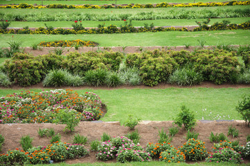 Garden scenery in  spring