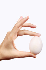 Fototapeta na wymiar hand show egg isolated on white background