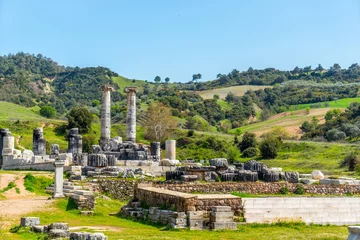 Photo sur Plexiglas Rudnes Greek Temple of Artemis near Ephesus and Sardis/Greek Temple of Artemis near Ephesus and Sardis was build 400 BC   aslo called Temple of Diana. One of Seven Wonders in World.  