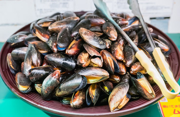 Fresh mussels