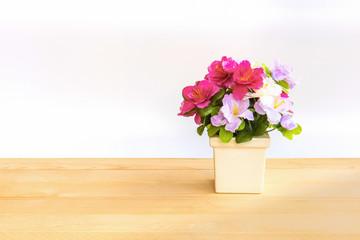 Potted plants on wooden desk