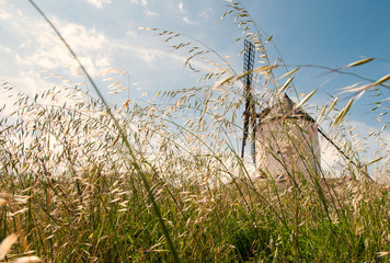 Fototapeta premium Don Quixote windmills at Consuegra Spain