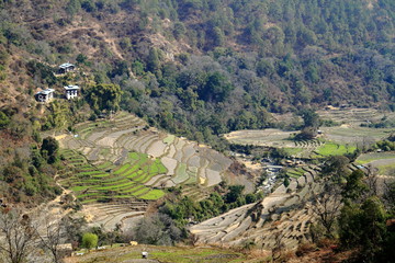 Fototapeta na wymiar Wangdue Phodrang Valley, Bhutan