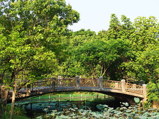 Fototapeta na wymiar Concrete bridge in the park
