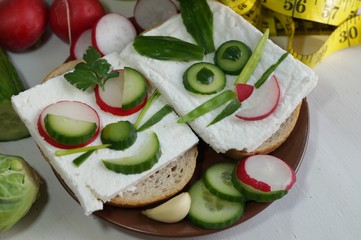 Funny sandwich in the shape of a rabbit with white cheese, cucumber and radish. diet sandwich
