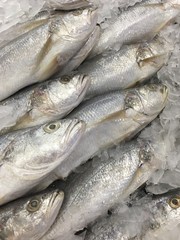 barramundi fish in supermarket