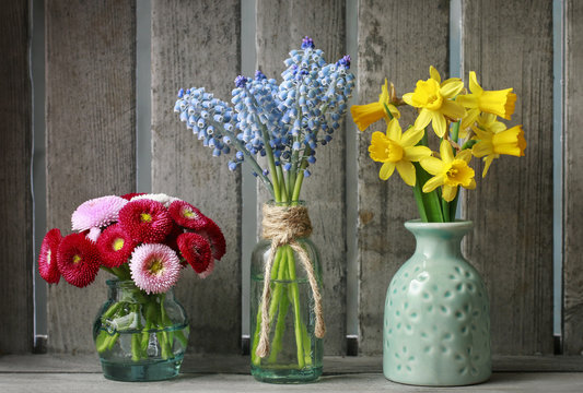 Springtime flowers: daffodil, muscari, daisy