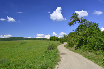 Beskid Niski, polna droga do wsi Bartne © Jurek Adamski