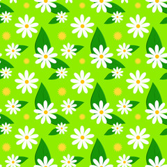 Floral spring pattern with daisies and dandelions