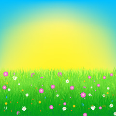 Obraz na płótnie Canvas Meadow with flowers background