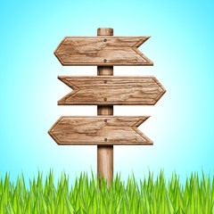 Naklejka premium Wood sign in green grass on sky background