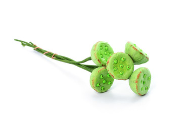 artificial lotus pods isolated on white background © kuarmungadd